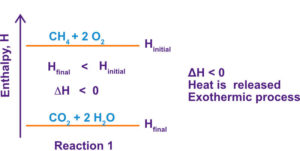 Enthalpy DIagram for an exothermic reaction