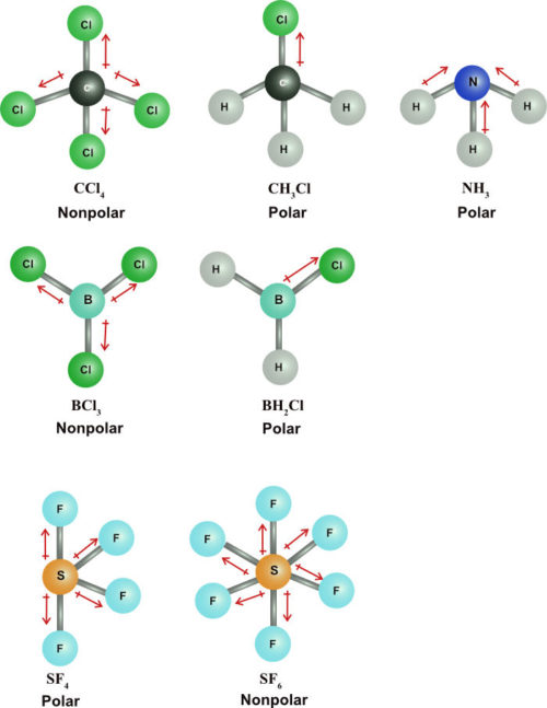 Molecular Polarity | Pathways to Chemistry